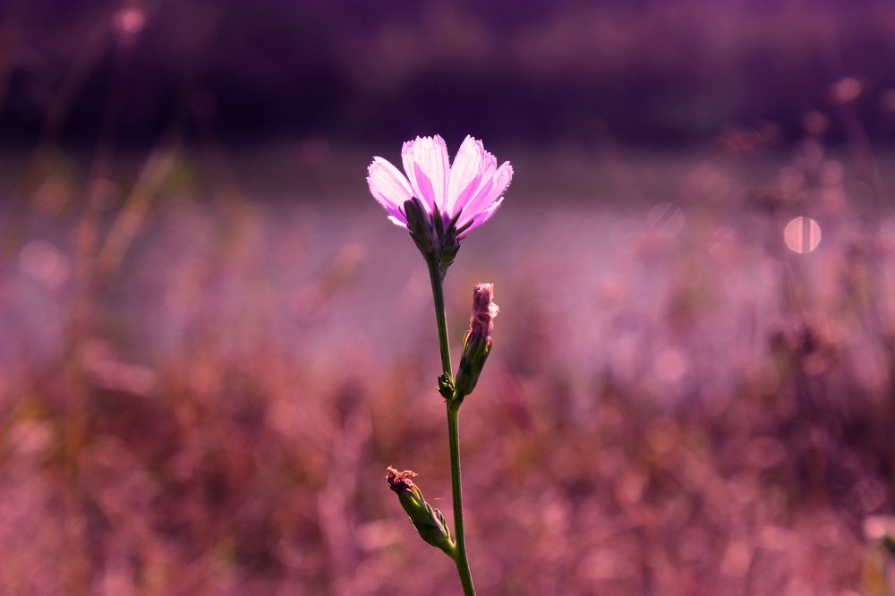 Photograph by Ivana Orlić