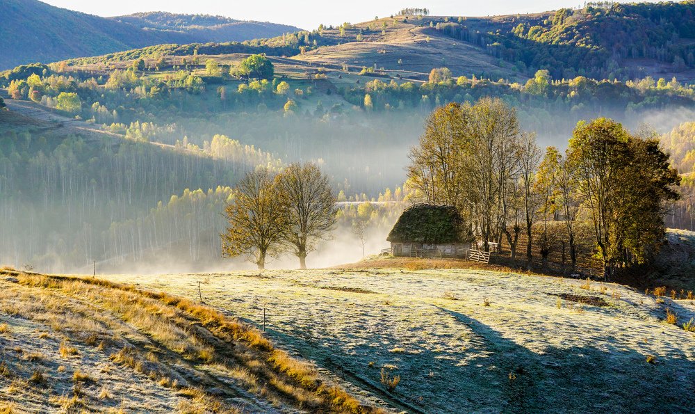 Photograph by Costin Gligor