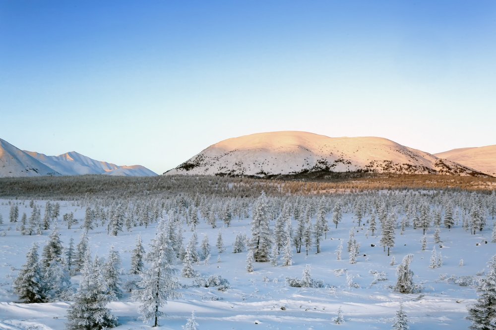 Короткий ,холодный декабрьский день.