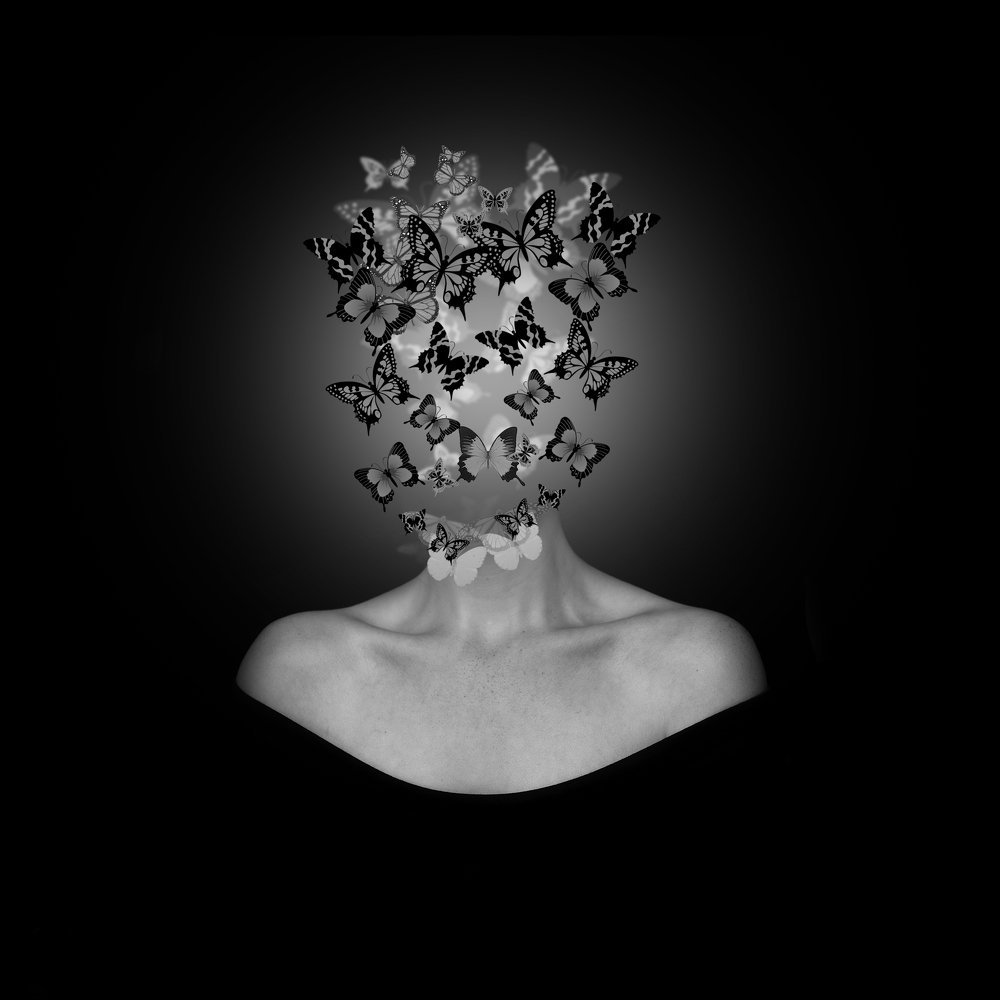 Photograph by alireza yazdani