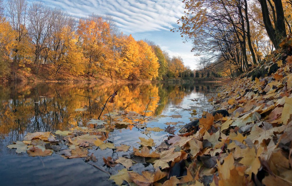 Photograph by Владимир Петрукович