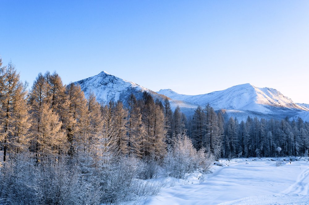 Яркий, солнечный зимний день.