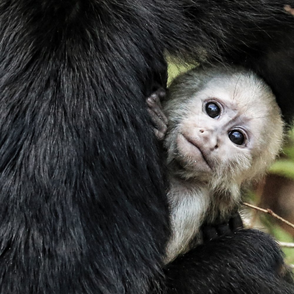 Photograph by Helen McLain