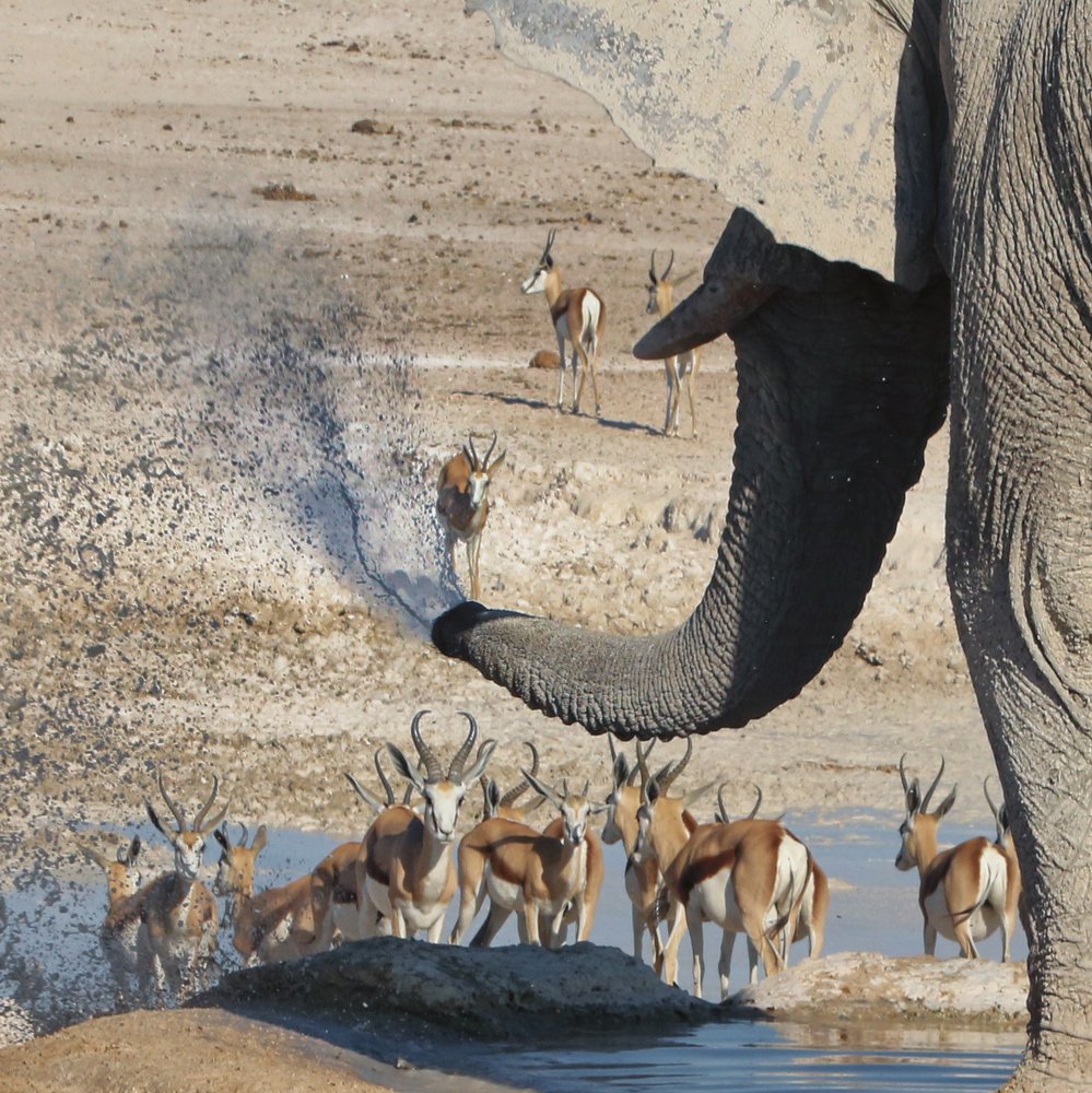 Photograph by Helen McLain