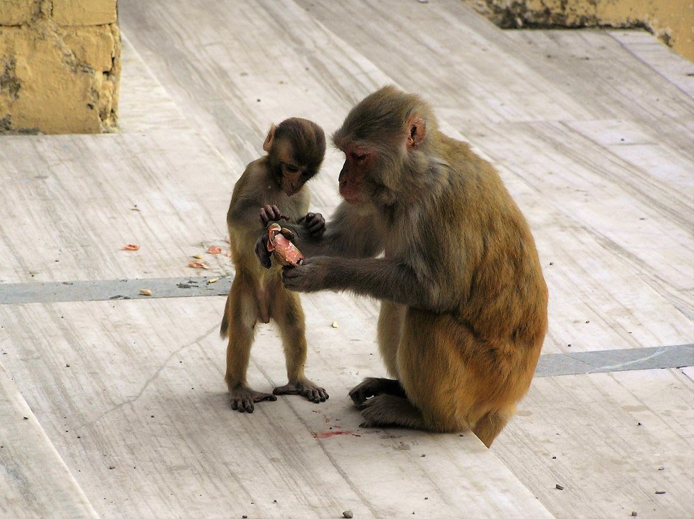 Photograph by Анна Харланова