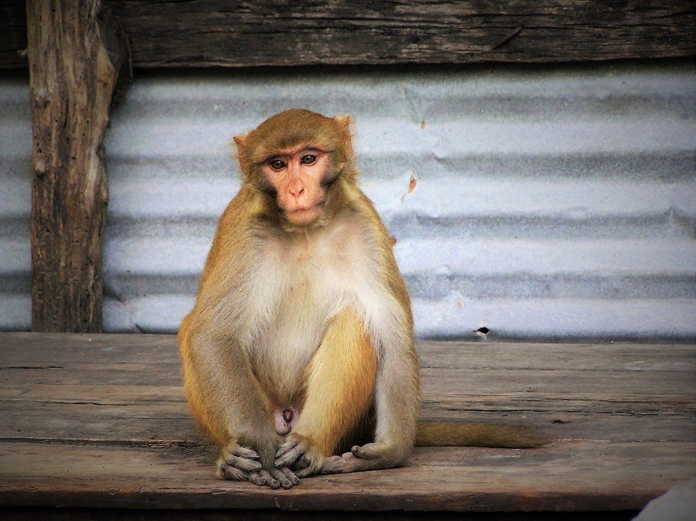 Photograph by Анна Харланова