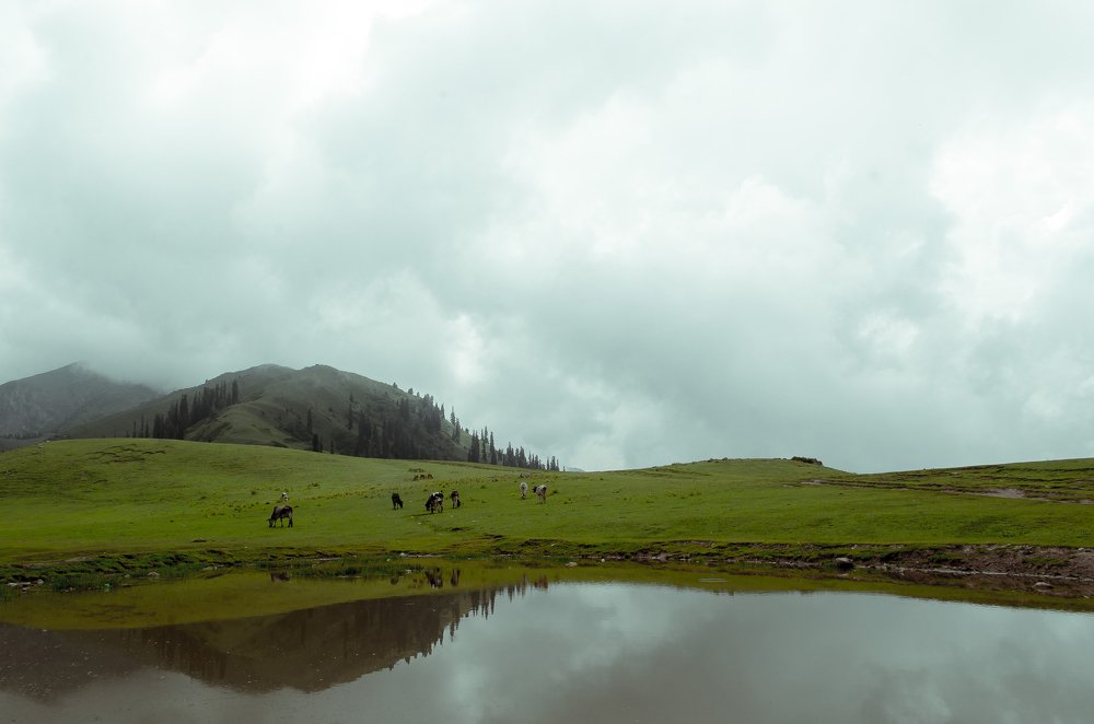 Photograph by Shariyar Ali