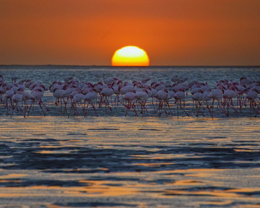 Photograph by Helen McLain