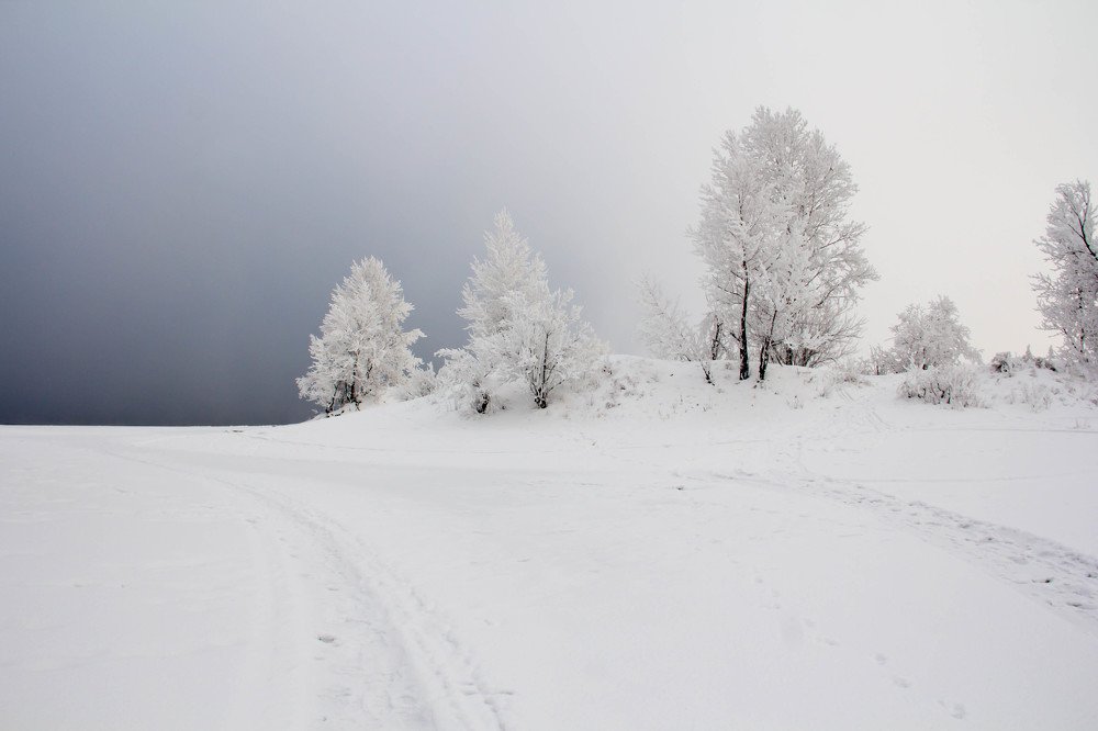 Photograph by Вадим Басов