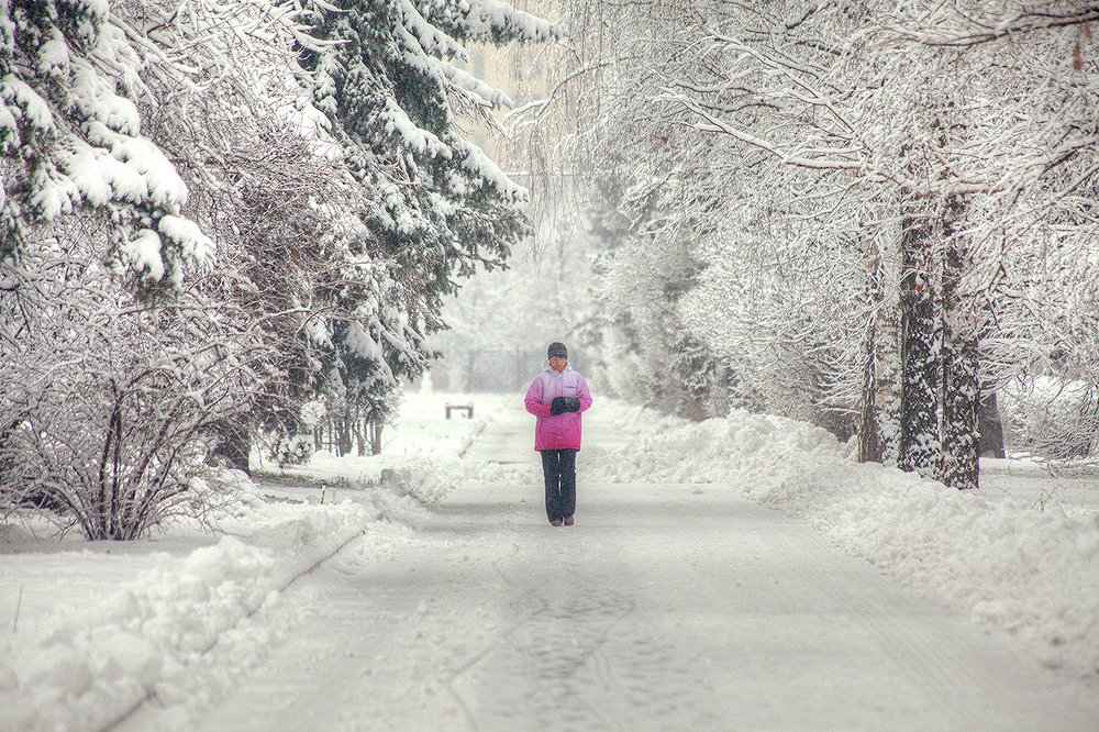 Снежный день (2)