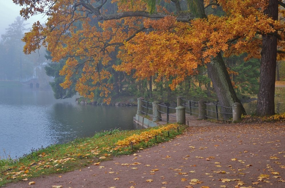 Пирс в Екатерининском парке , Царское Село .