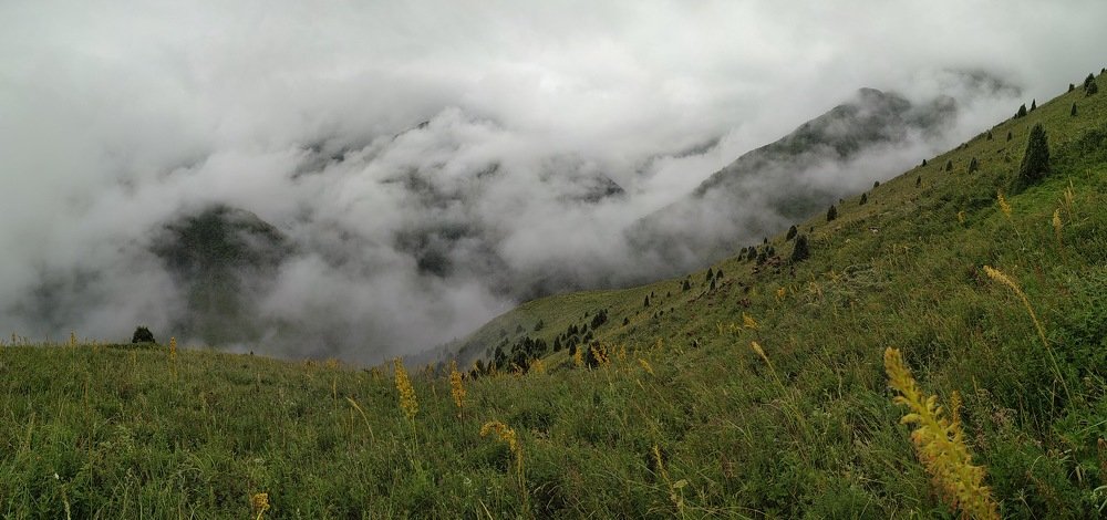 Photograph by Темирлан Асанканов