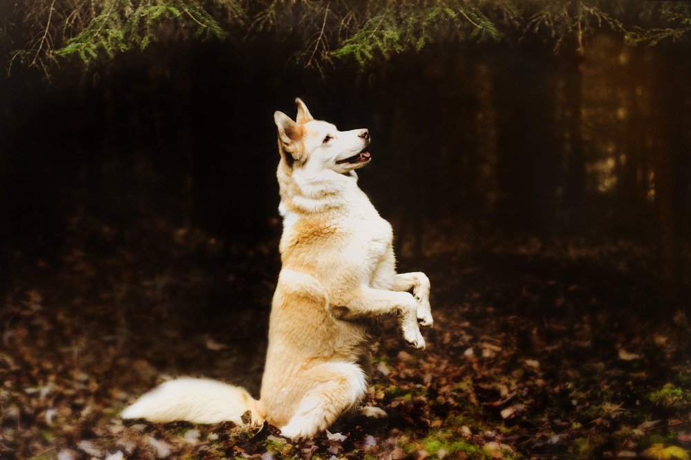 Photograph by Liguanna Anna