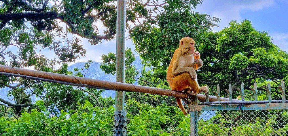 Photograph by Swopnil