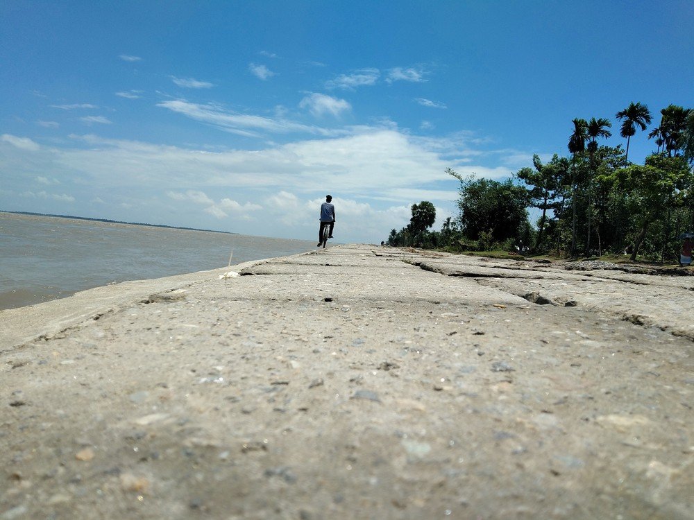 Photo #4154637