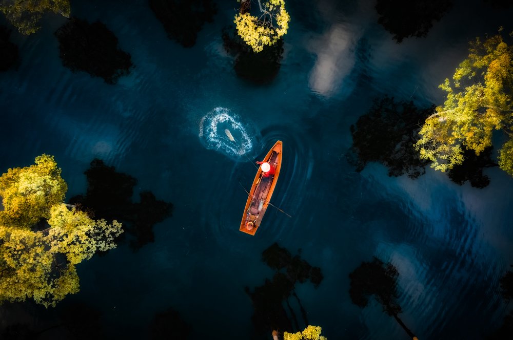 Catch fish in the lake