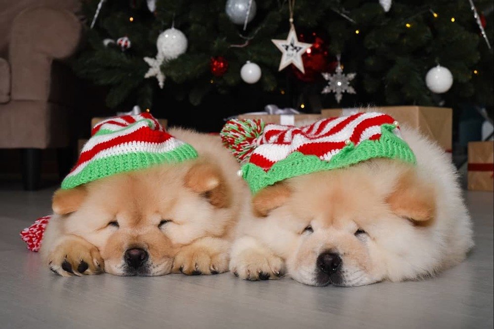 Photograph by Кадырова Анастасия