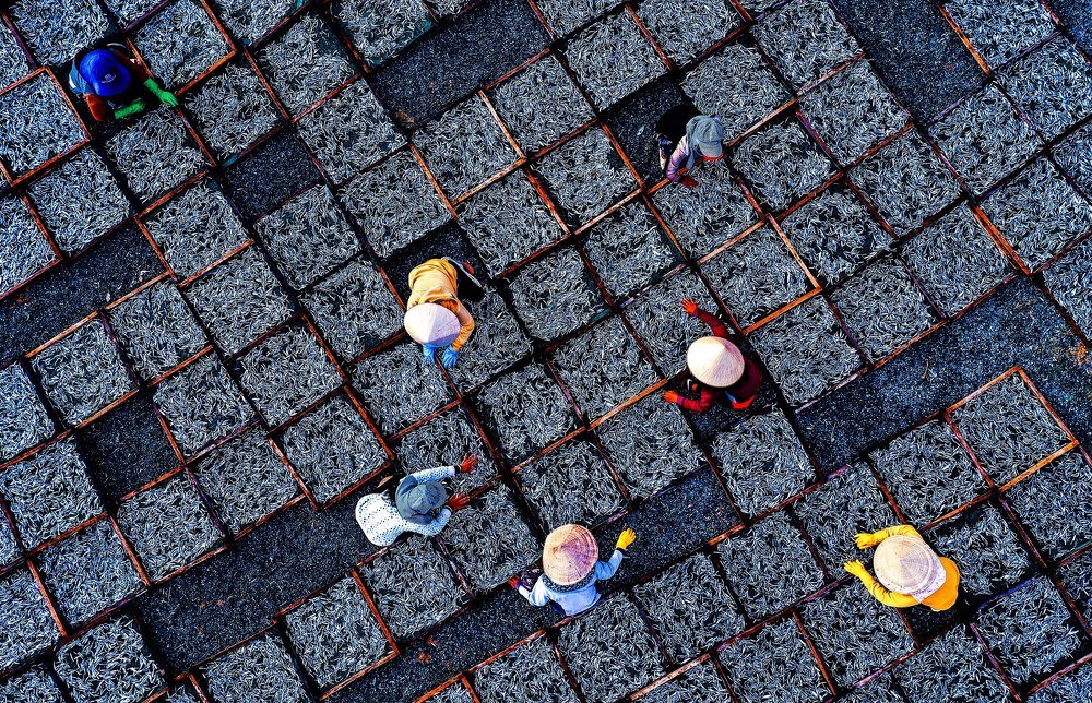 Photograph by Hong Nguyen