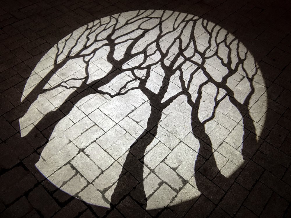 Photograph by Татьяна Поломошнова