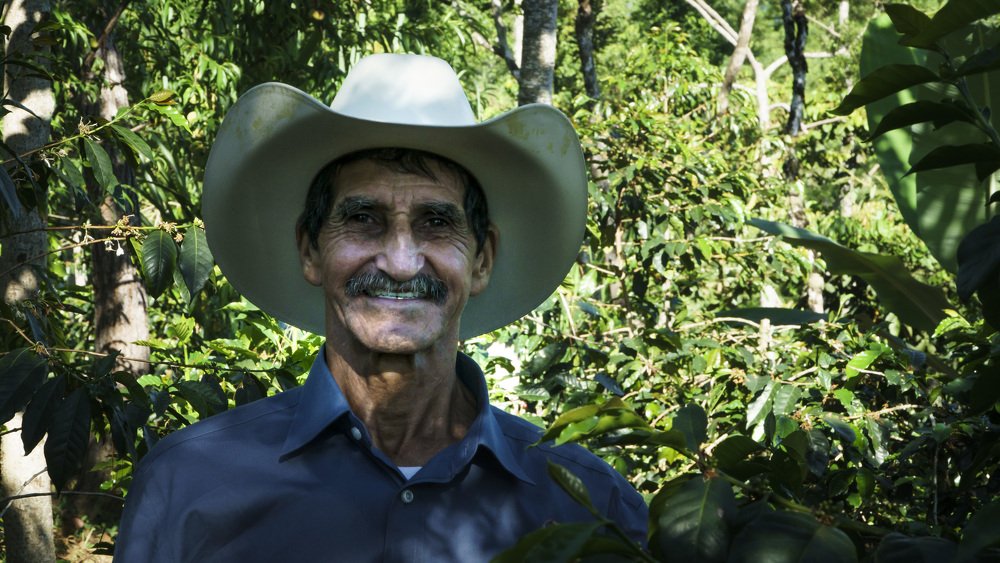 Photograph by Allan Santamaría