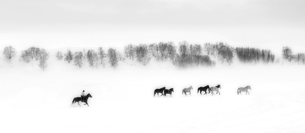 Photograph by 南輝 何