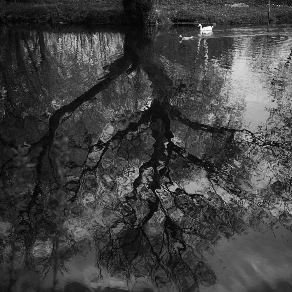 Photograph by Екатерина Рубаненко