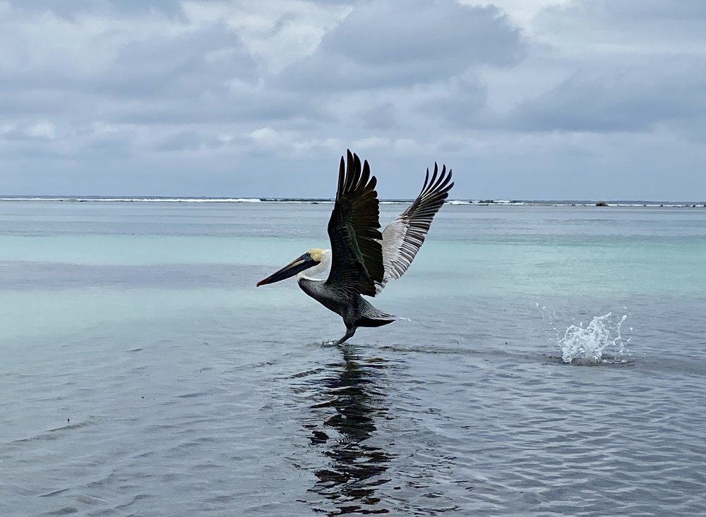 Photograph by Ольга Иванова
