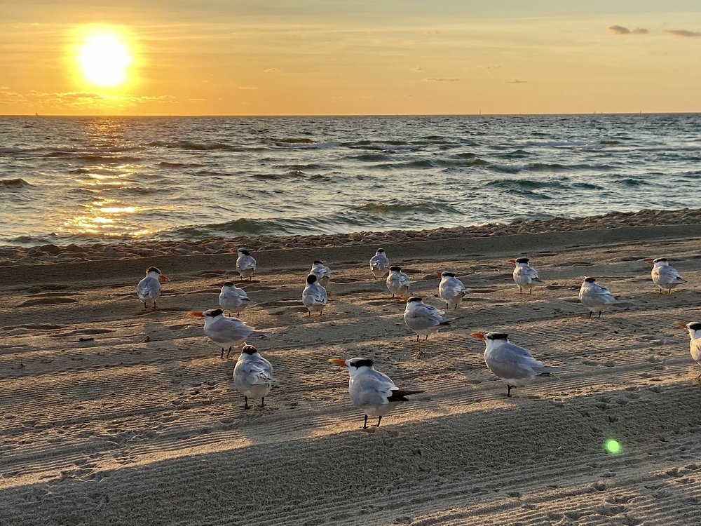 Photograph by Ольга Иванова