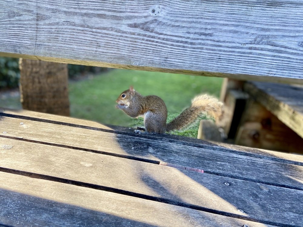 Photograph by Ольга Иванова