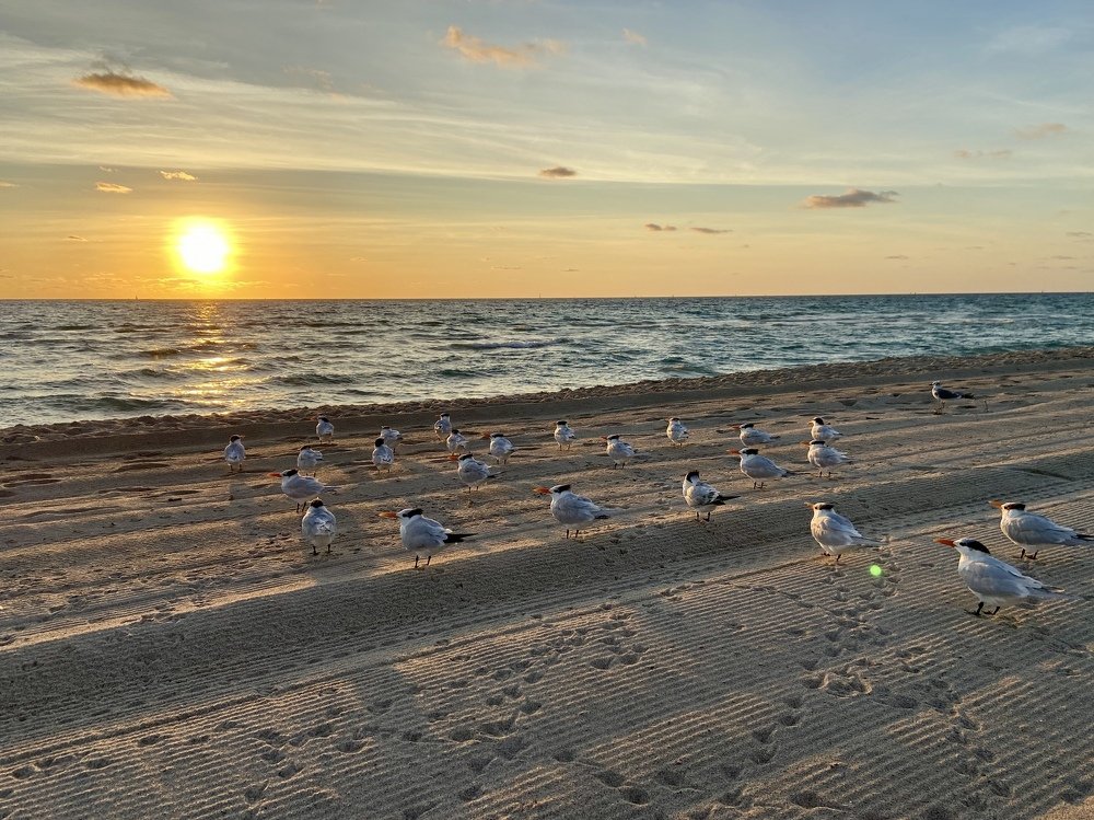 Photograph by Ольга Иванова