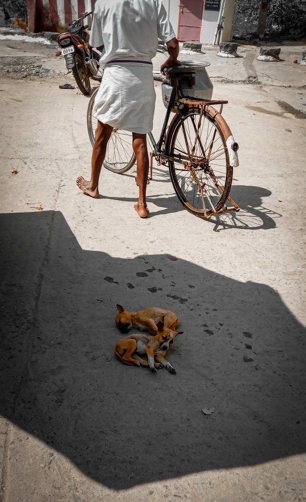 Photo #4155107