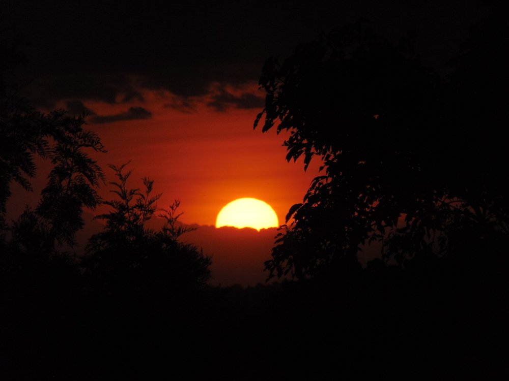 Фотография автора Stephen Muroki