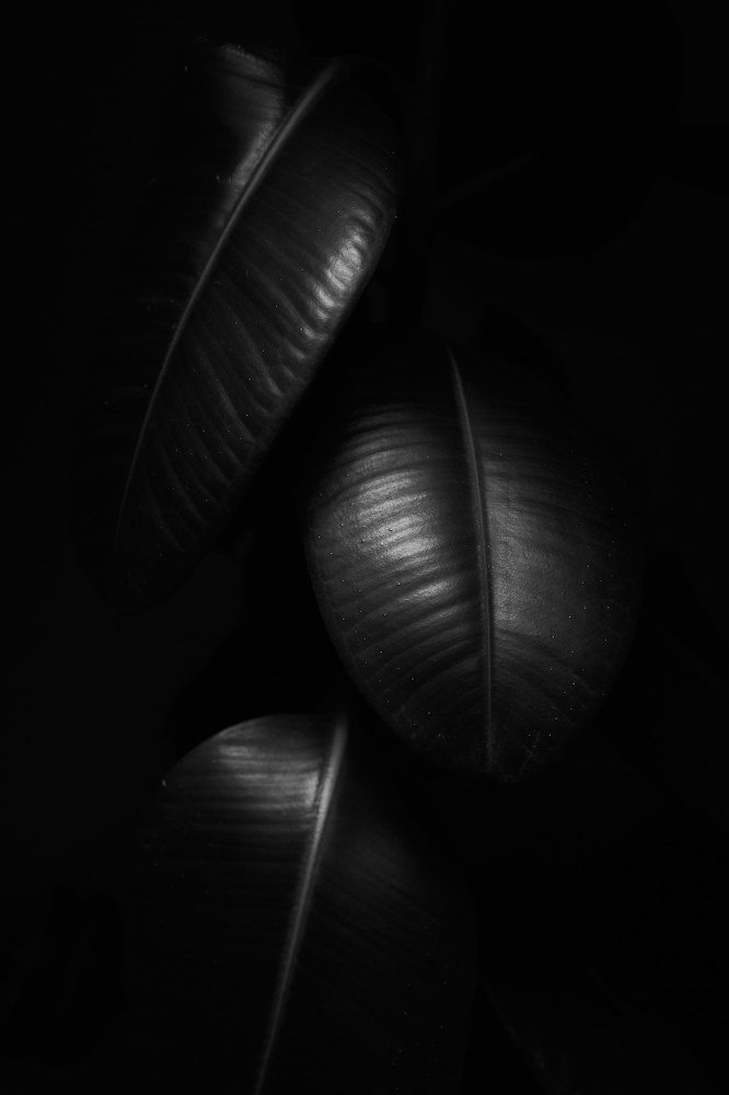 Photograph by Ekaterina Boiarkina