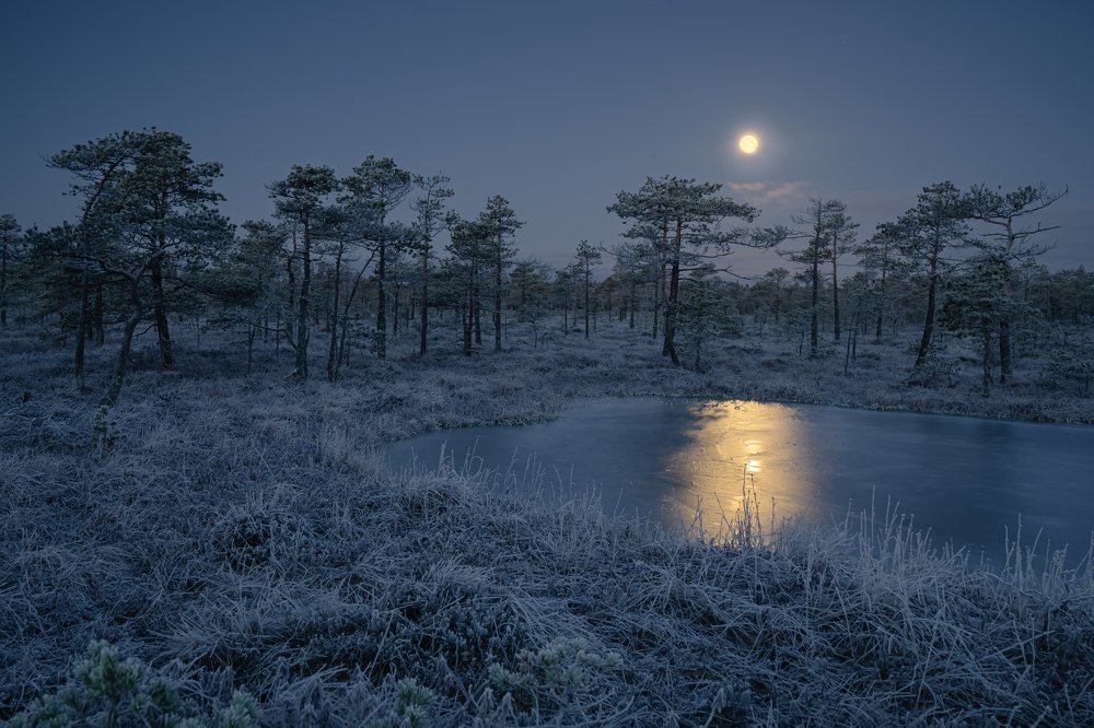 Photograph by Олег Иваницкий