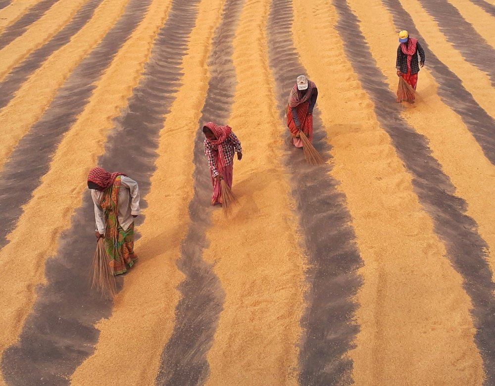 Photograph by Rajarshi Ganguly