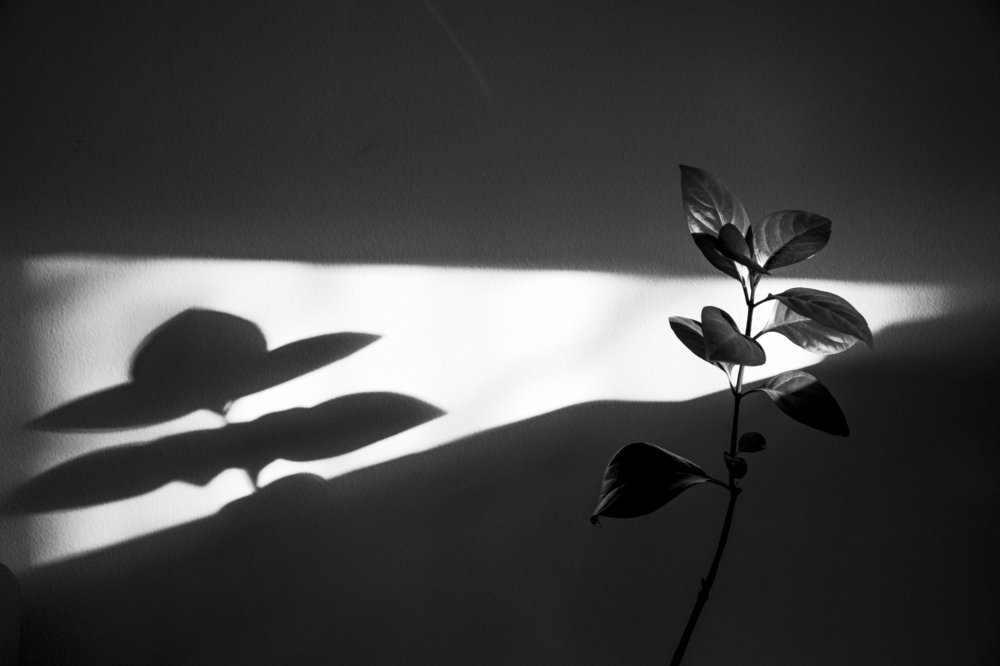 Photograph by Samaneh Beikpoor