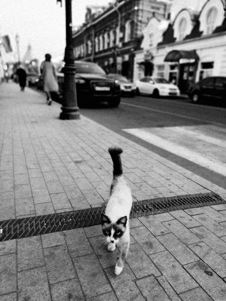 От набережной до кремля