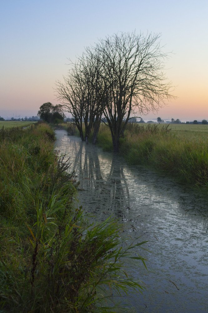 Photograph by Илья Бачурин