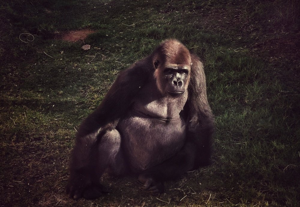 Photograph by JayLord Plaza