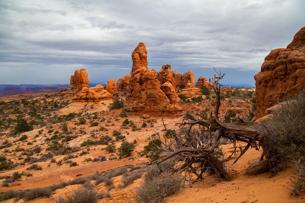 Photograph by Lana Anferow