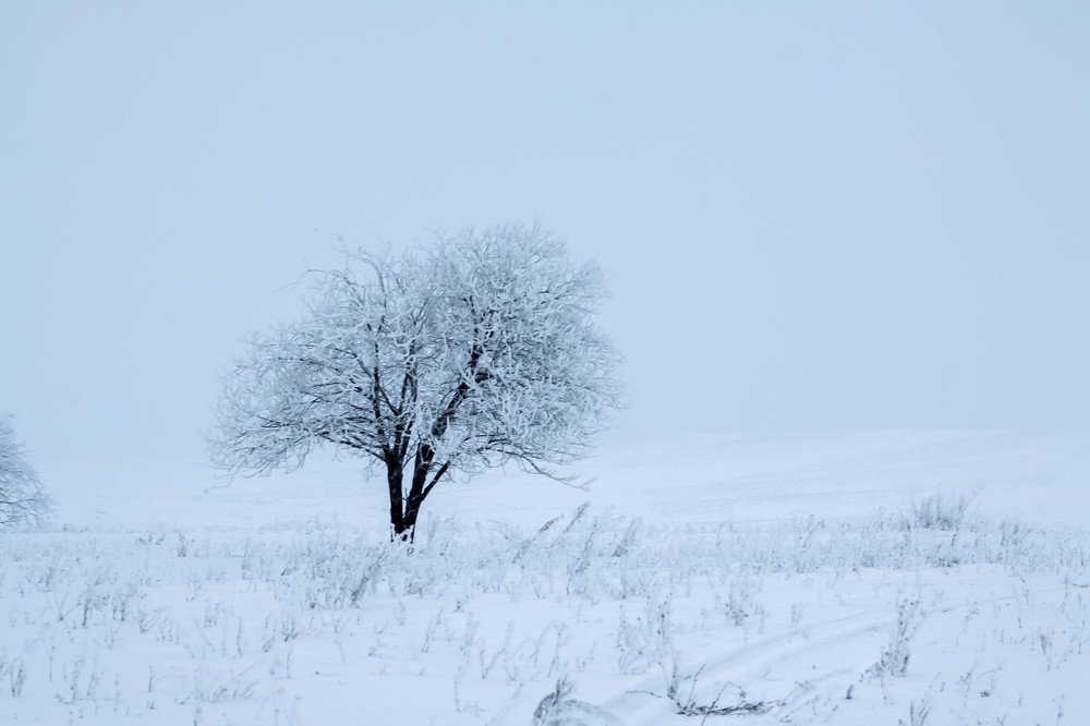 Photograph by Рафит Муллаянов