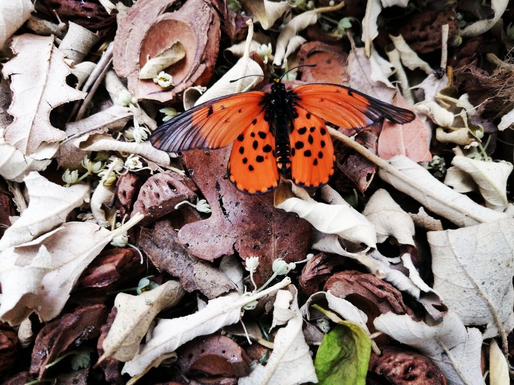 Photograph by Stephen Watkins