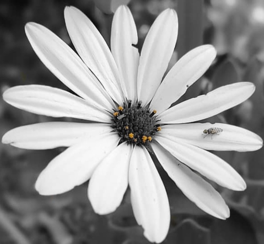 Photograph by Stephen Watkins