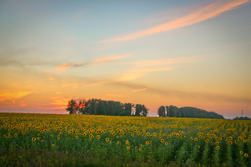 Photograph by Дмитрий Проскурин