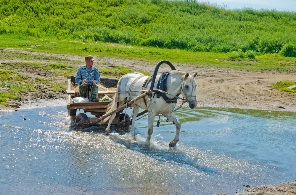 Photograph by Дмитрий Проскурин