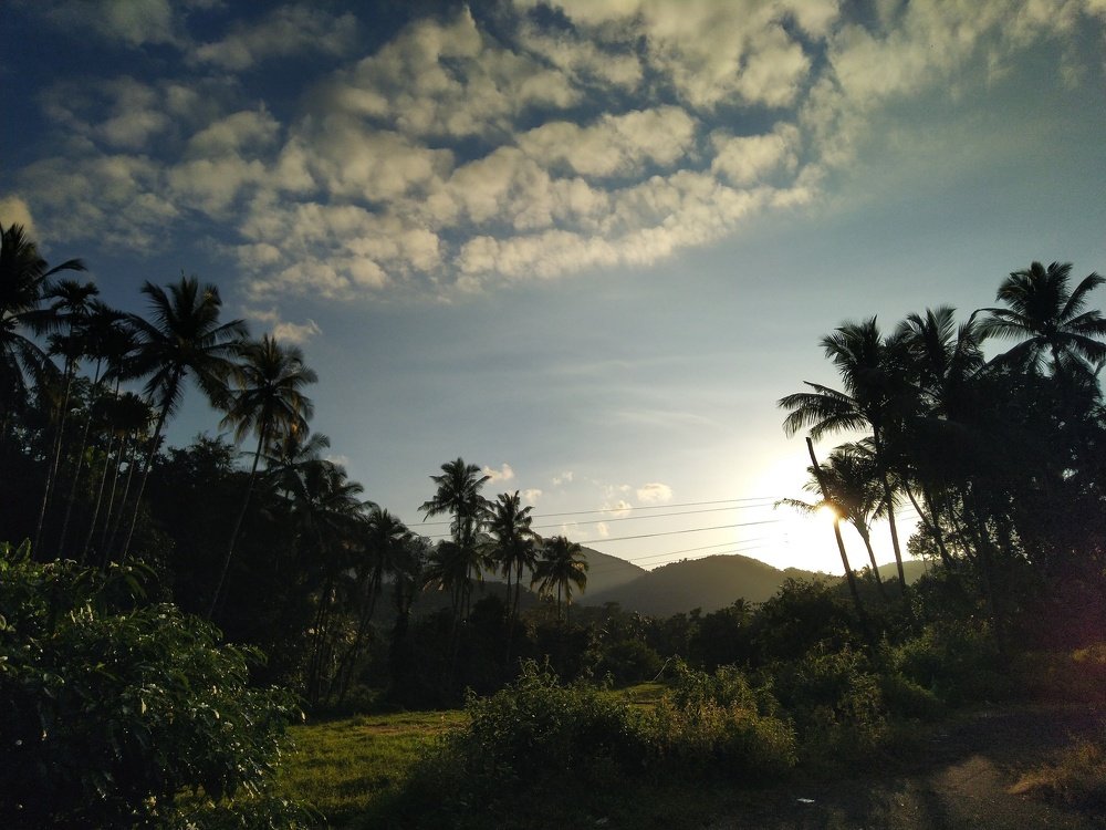 Photograph by Samir Gaonkar