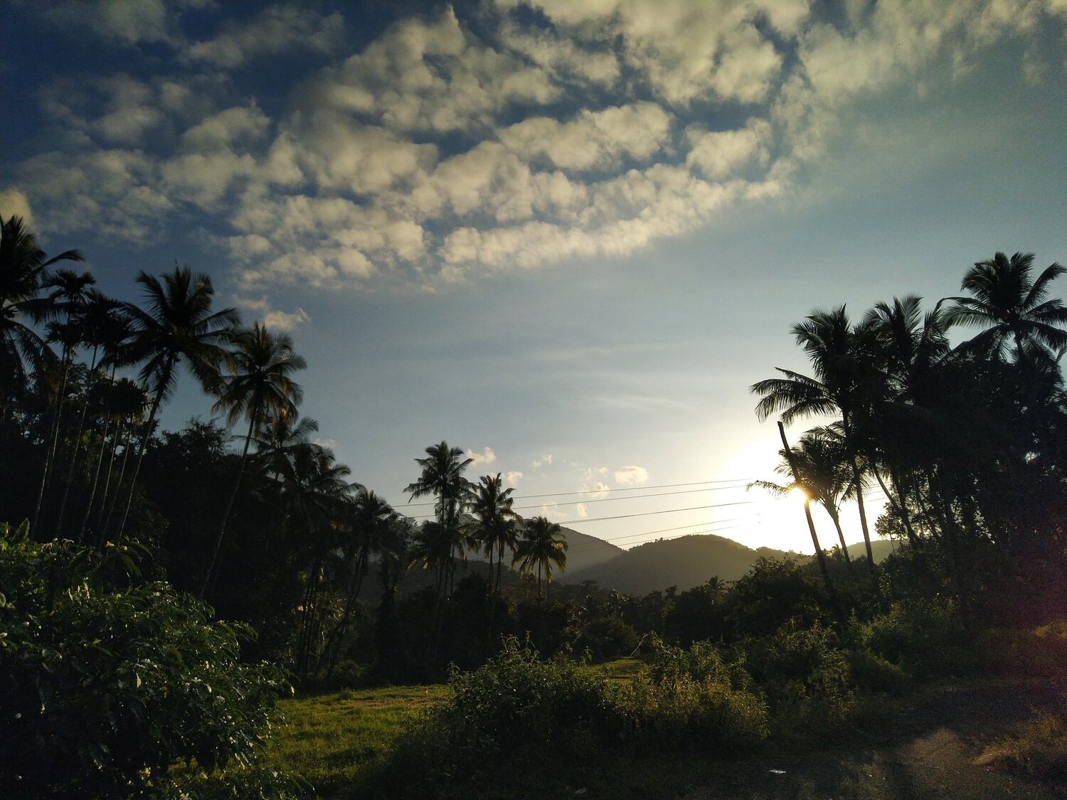 Photo #4155669