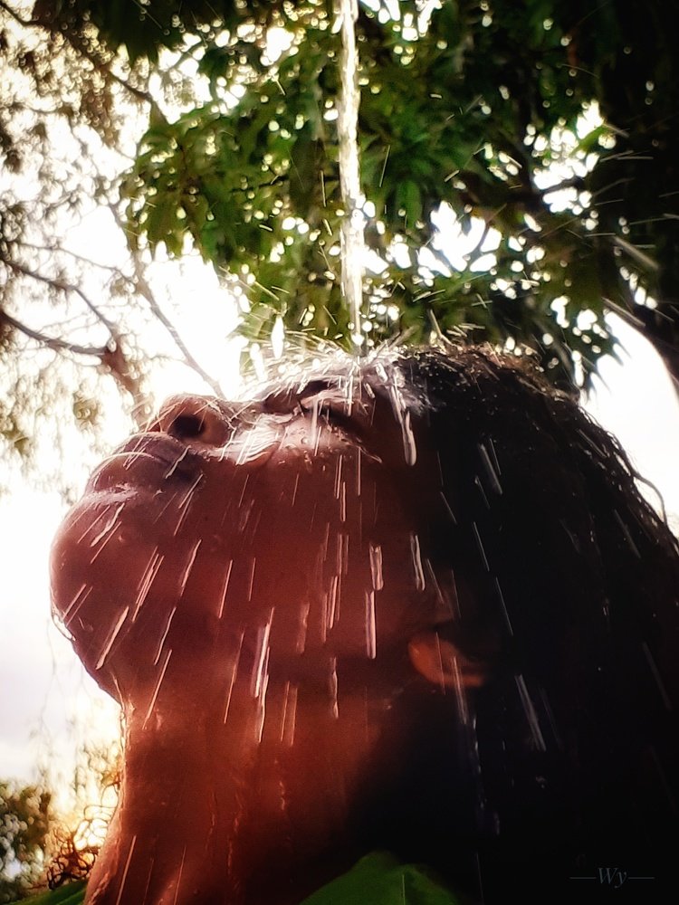 Photo #4155701