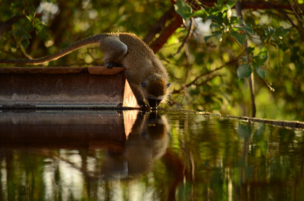 Photograph by Murad Rajabali Habib