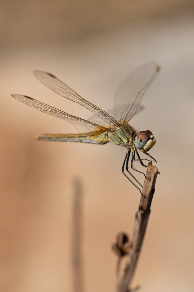 Photograph by Виктория Кузнецова